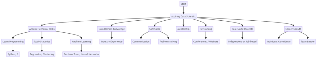 visual representation of the career path for an aspiring Data Scientist